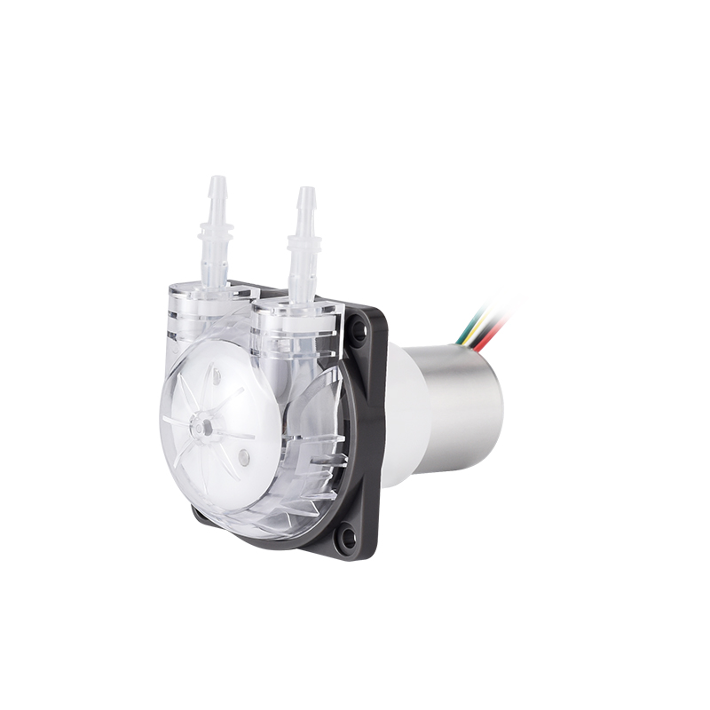 PENGPU Micro Peristaltic Pump  - Mini Peristaltic Pump 12V review and price
