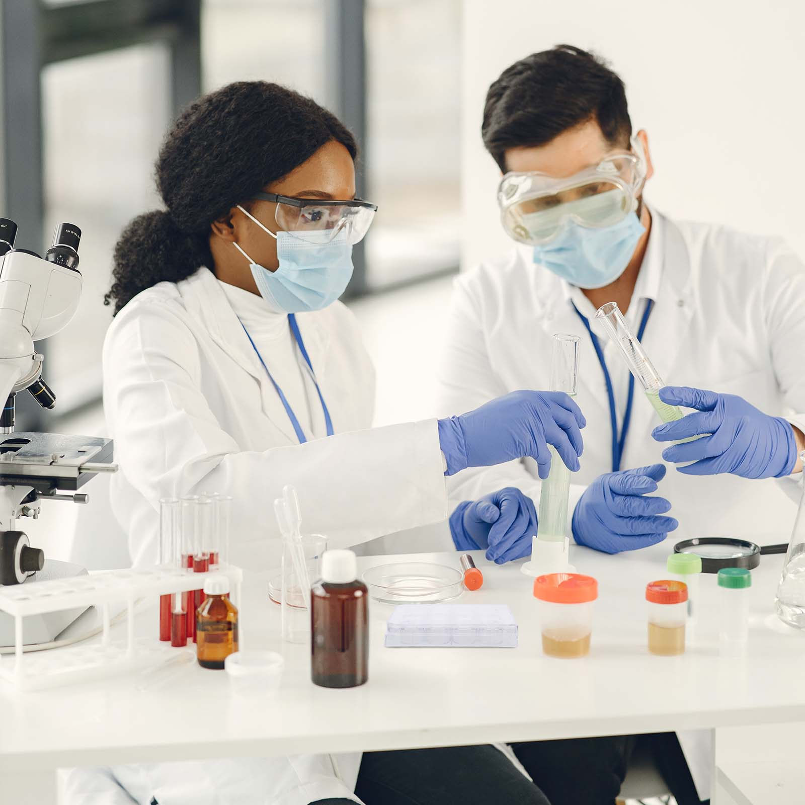 12-Hole Cell Culture Plate Tis - Lab Equipment review and price