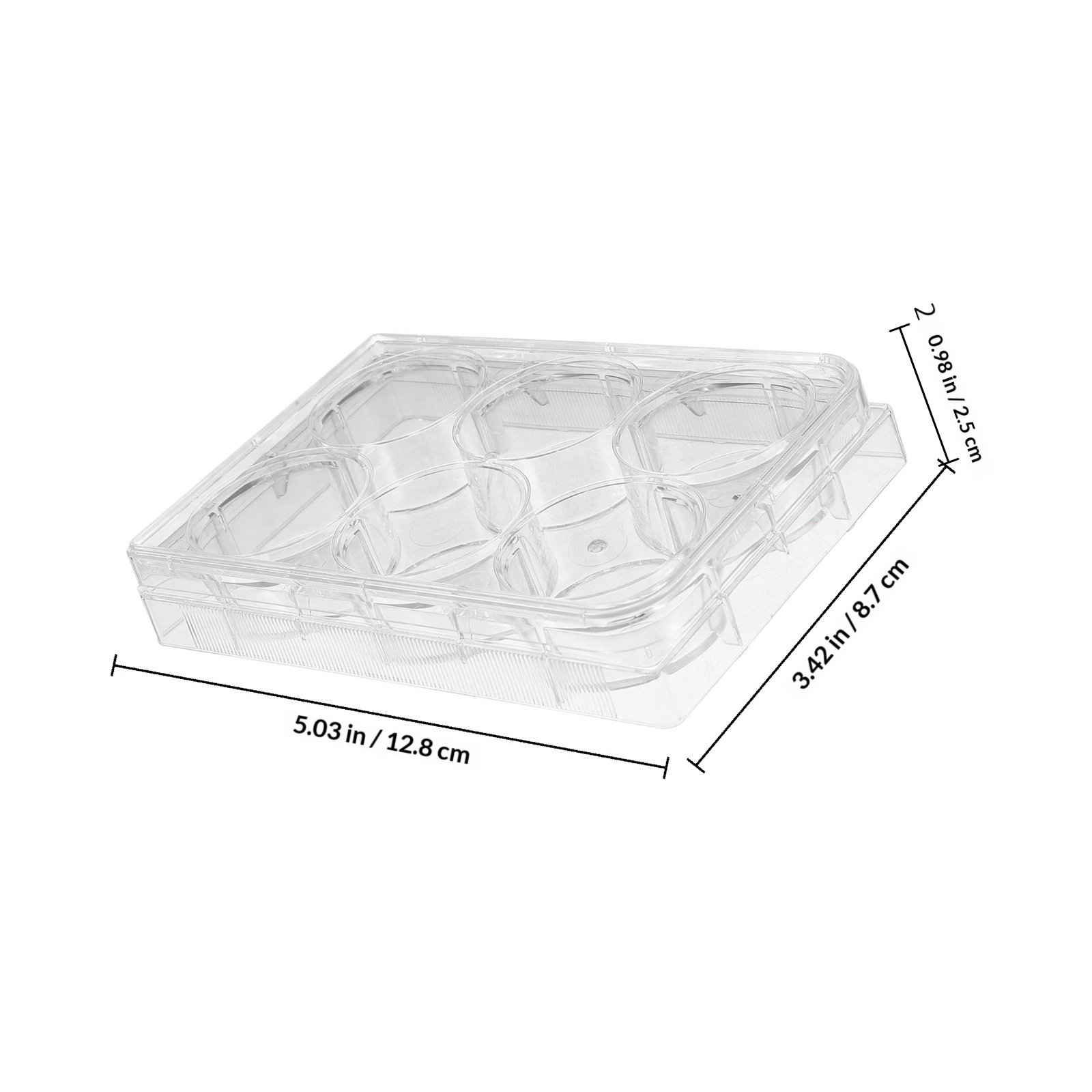 Tissue Culture Plate 6 Wells S - Lab Equipment review and price
